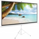 Apollo 70 x 70 Inch Tripod Projector Screen