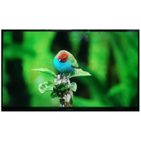 Vertex 32'' Android Smart TV