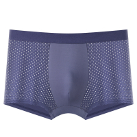 Premium Breathable Mesh Boxer