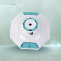 Spirit Big Ceiling Rose