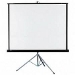 Projector Screen