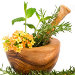 Herbal Medicine