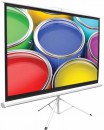 Tripod 96 x 96 Inch Projector Screen