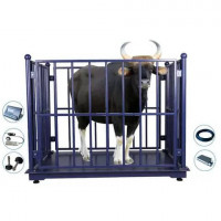 Suja Global SG-1020-2TF 2000 Kg Cow Weight Scale