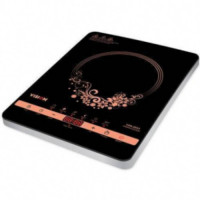 Vision RE-VSN-XI-30A3 Infrared Cooker