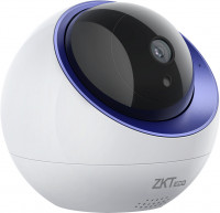 Zkteco C2B Indoor PT Camera