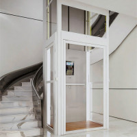 Fuji 300Kg 3-4 Person Glass Cabin Home Elevator