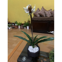 Artificial Flower & Black Vase Showpiece