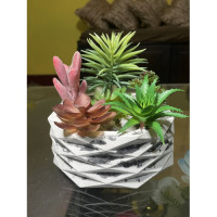 Plastic Plant & Vase Showpiece