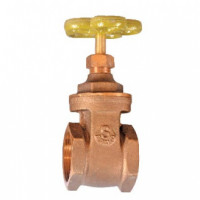 1" S-Brand Gate Valve