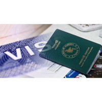 VISA Processing and Manpower
