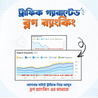 Traffic Guaranteed Blog Ranking
