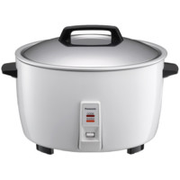 Panasonic SR-GA421 Electric Rice Cooker