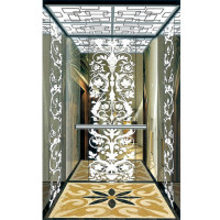 LG 800Kg 10-Person Mirror Etching Cabin Lift