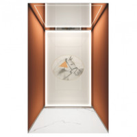 LG 1000 KG 12-Person Gold Finish Passenger Lift
