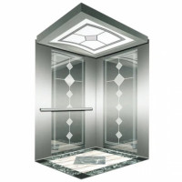 Sigma 800Kg 10-Person Eye-Catching Passenger Lift