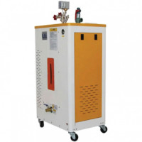 Ironing Electric Steam Generator for 6 Iron