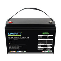 LiWATT LW1260E 12.8V-60Ah LiFePO4 Battery