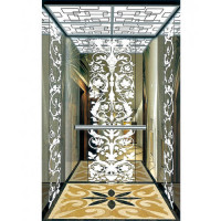 Hammer 1300Kg Luxurious Design Passenger Lift