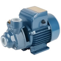 Marquis MKP-62-3 0.50HP Peripheral Pump