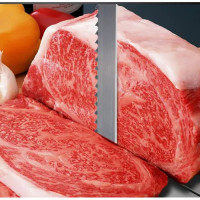 Fish & Meat Bone Saw Blade 1650 x 16 x 0.56mm