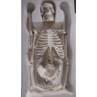 XC-103 Miniature Skeleton