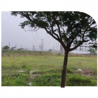 3 Katha Ready Plot Sale Block-M Sector-4 Aftab Nagar
