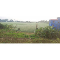 16.5 Sotok Land Sale Bhanga Faridpur