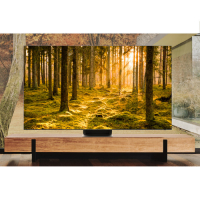Samsung QN900B 75" 8K Neo QLED Smart TV