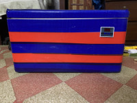 88 Egg Capacity AC incubator