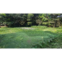 3 Gonda Land Sale RauJan Chattogram